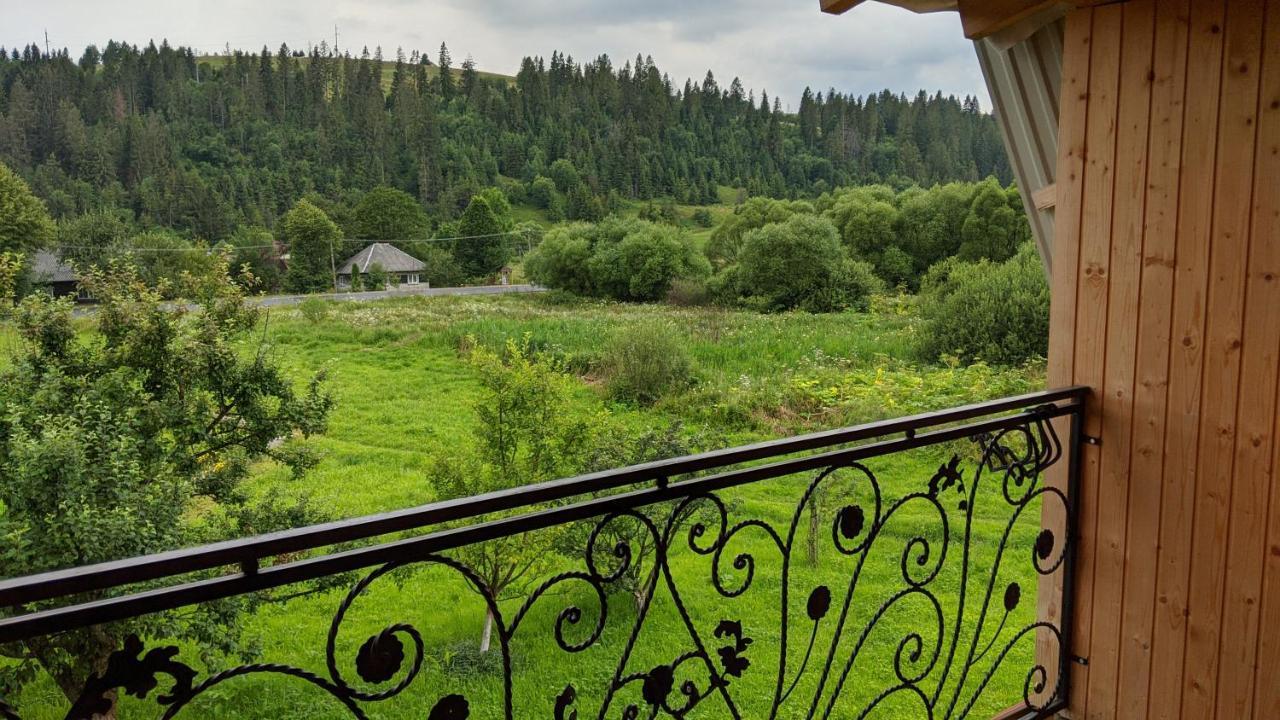 Guest house Gostynna Rodyna Izki Extérieur photo
