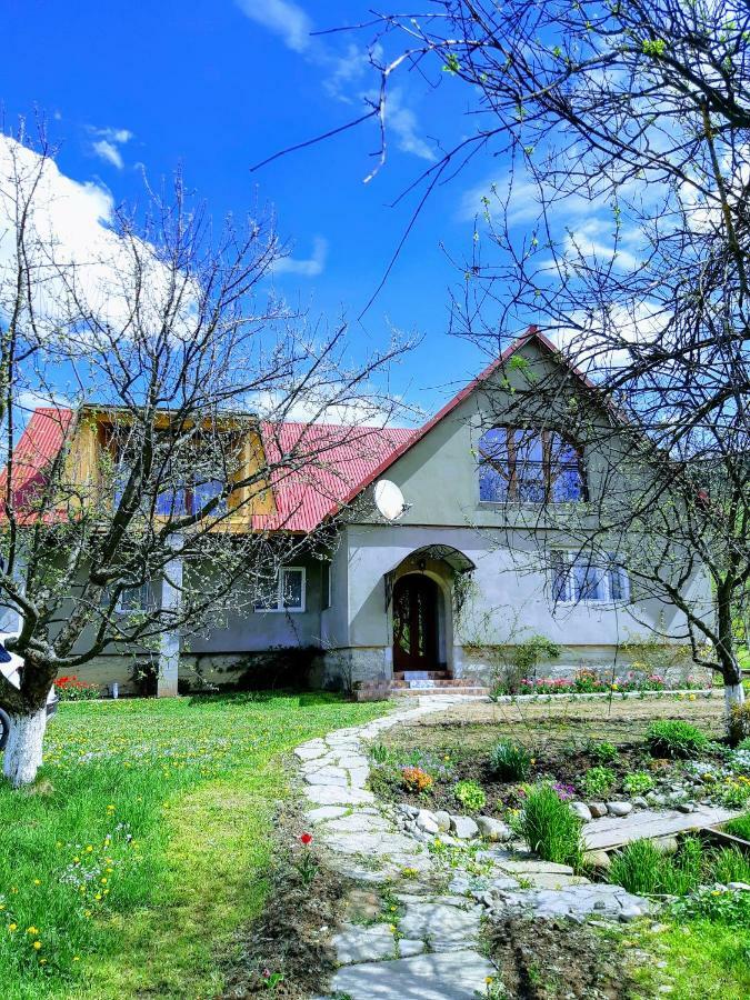 Guest house Gostynna Rodyna Izki Extérieur photo