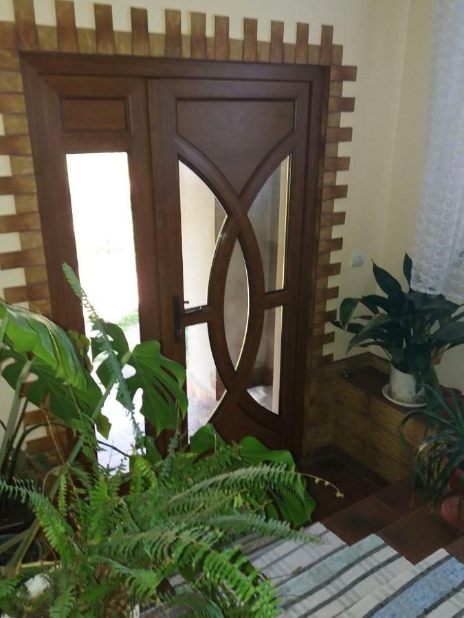 Guest house Gostynna Rodyna Izki Extérieur photo